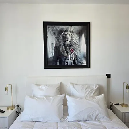 Apartman Cs Skyline Rooftop De Nage Montpellier